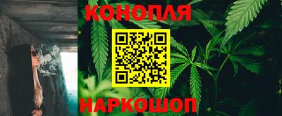 крисы Тара
