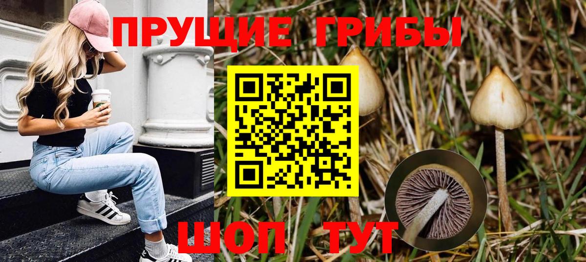 Псилоцибиновые грибы GOLDEN TEACHER Муравленко